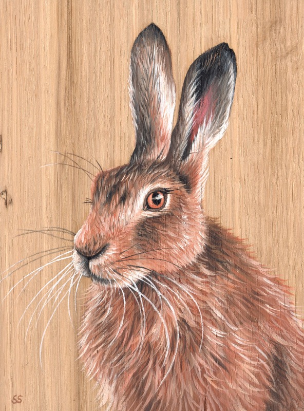 Hare on Wood