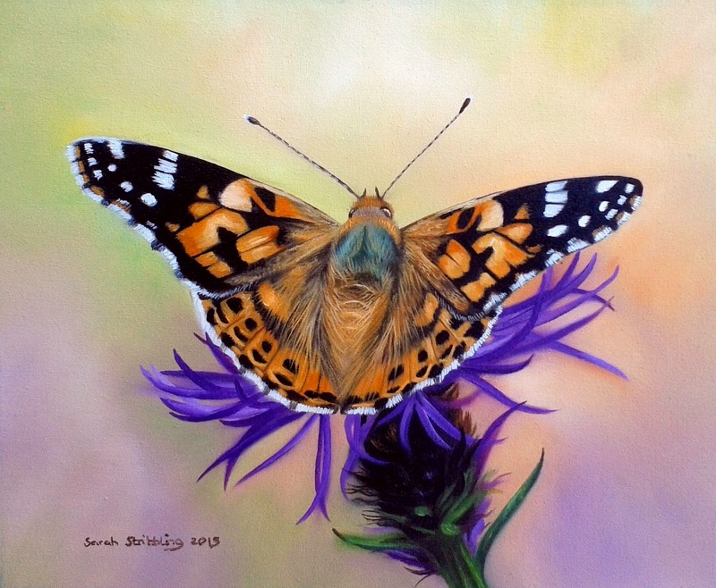 Butterfly Purple Flower