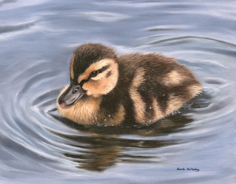 Duckling