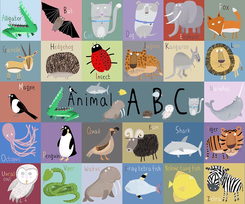 Animal ABC