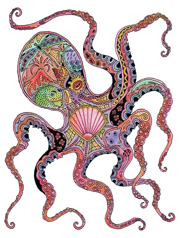 Octopus