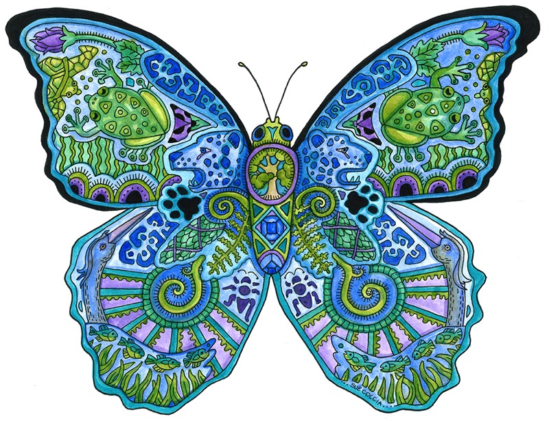 Butterfly Blue Morpho