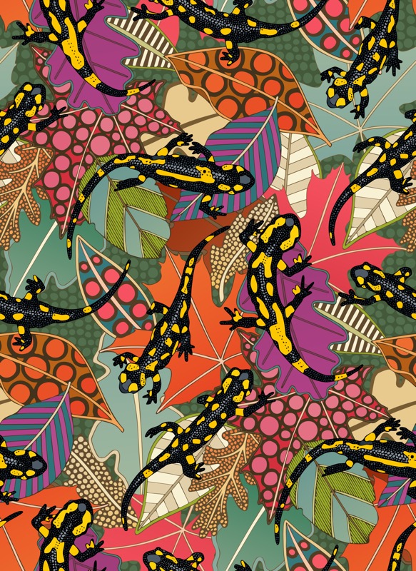 maximalist salamander forest
