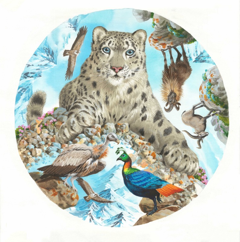 Guardians of the Himalayan Heights