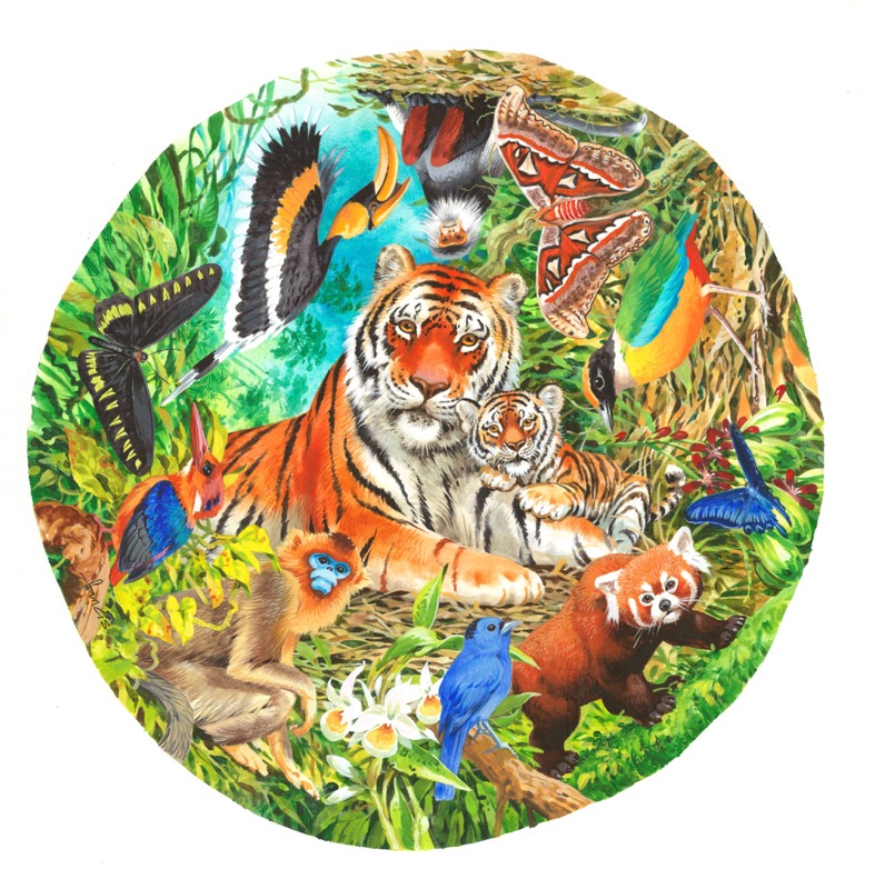 Jewels of the Asian Forest