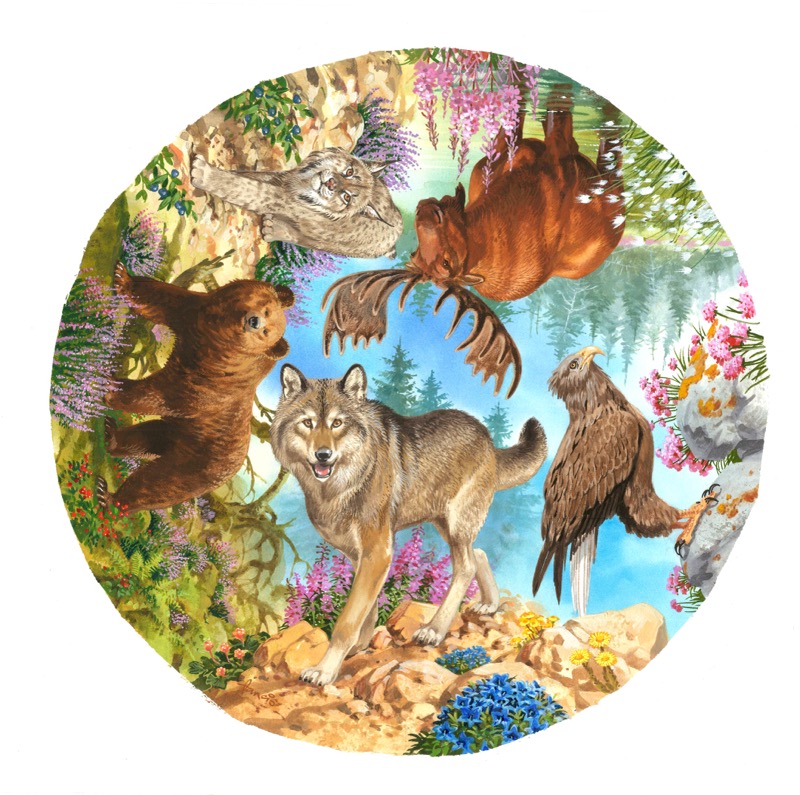 Icons of the Wilderness