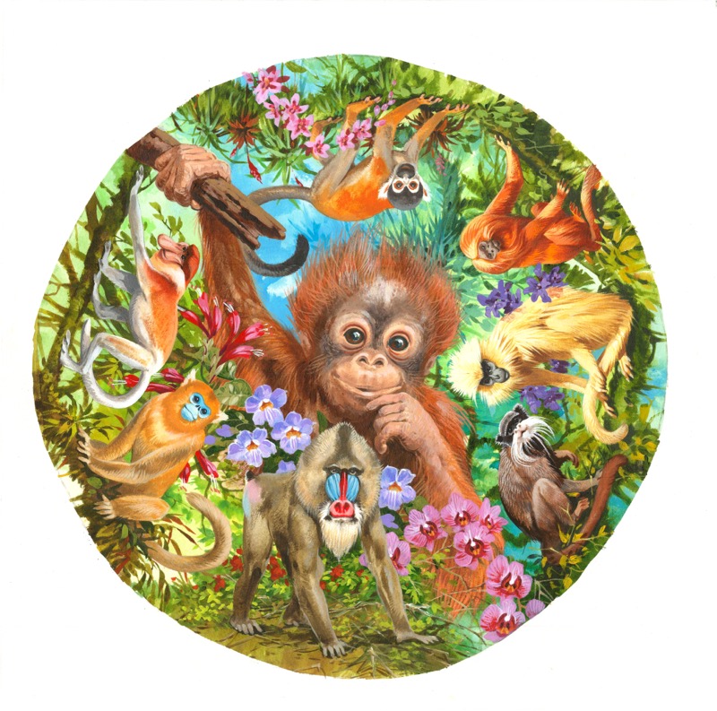 Just Monkey Business