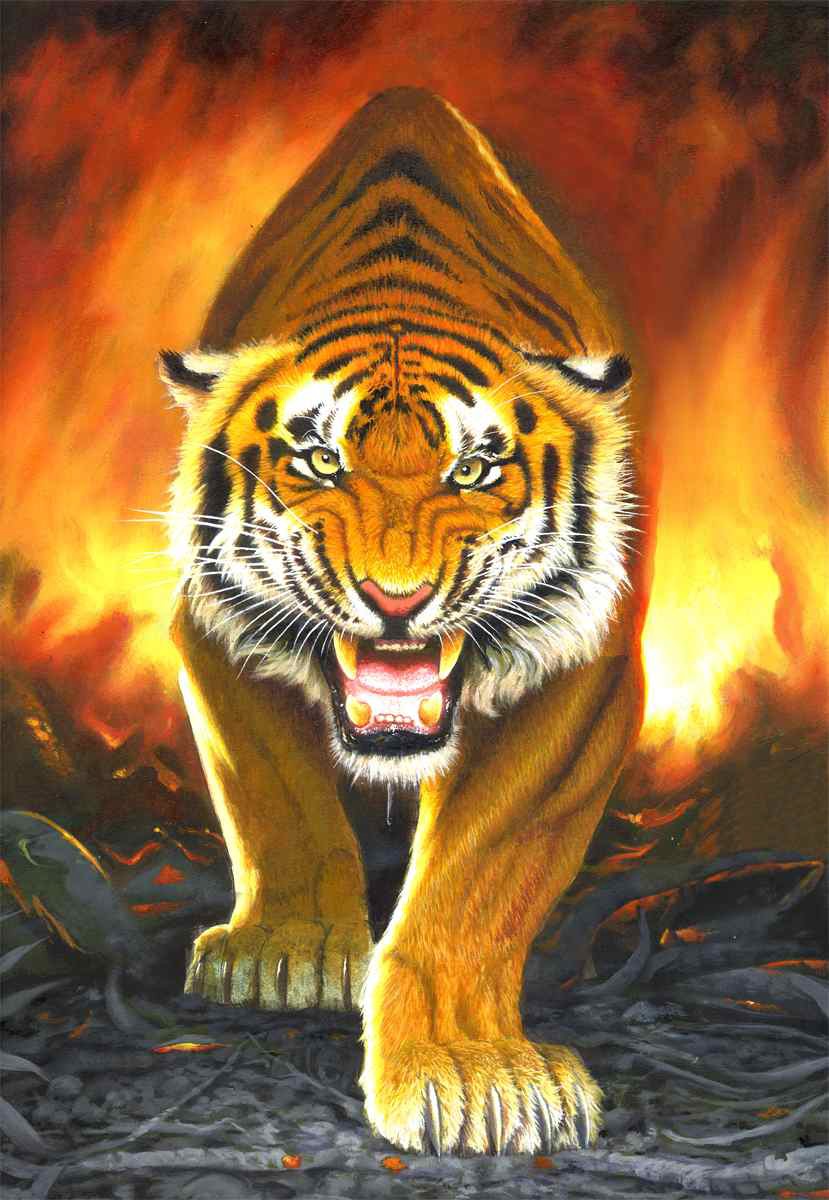 Tiger from the Embers