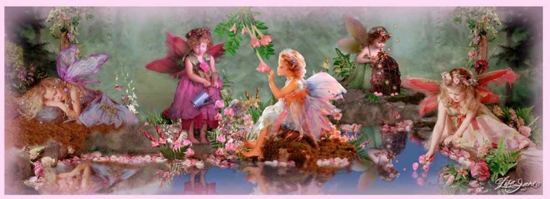 Pond Fairy layout