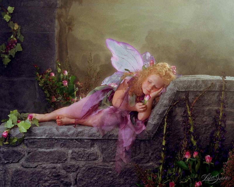 Purple Fairy