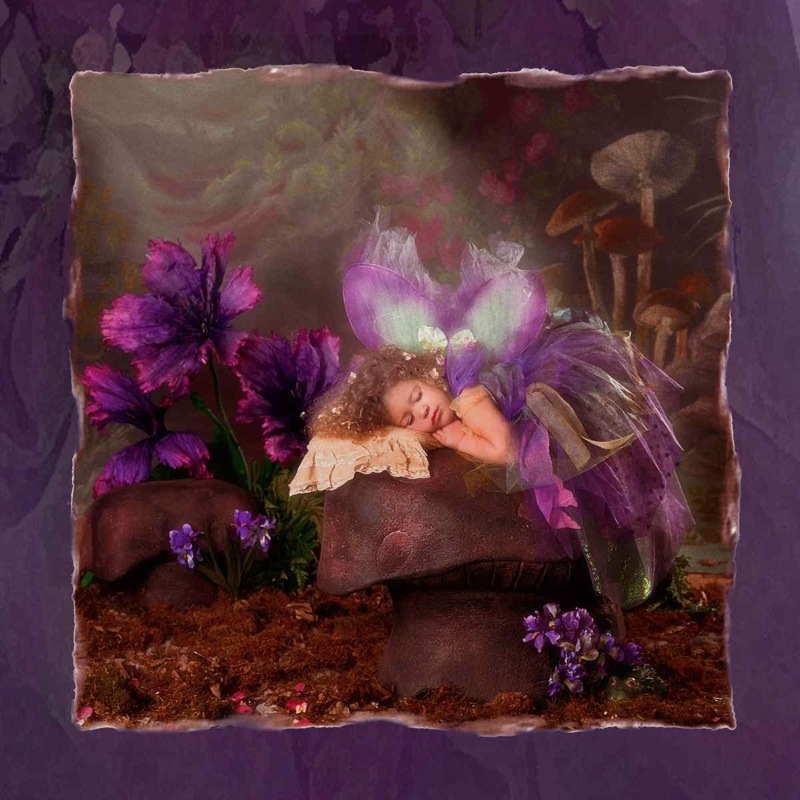 Sleeping Fairy