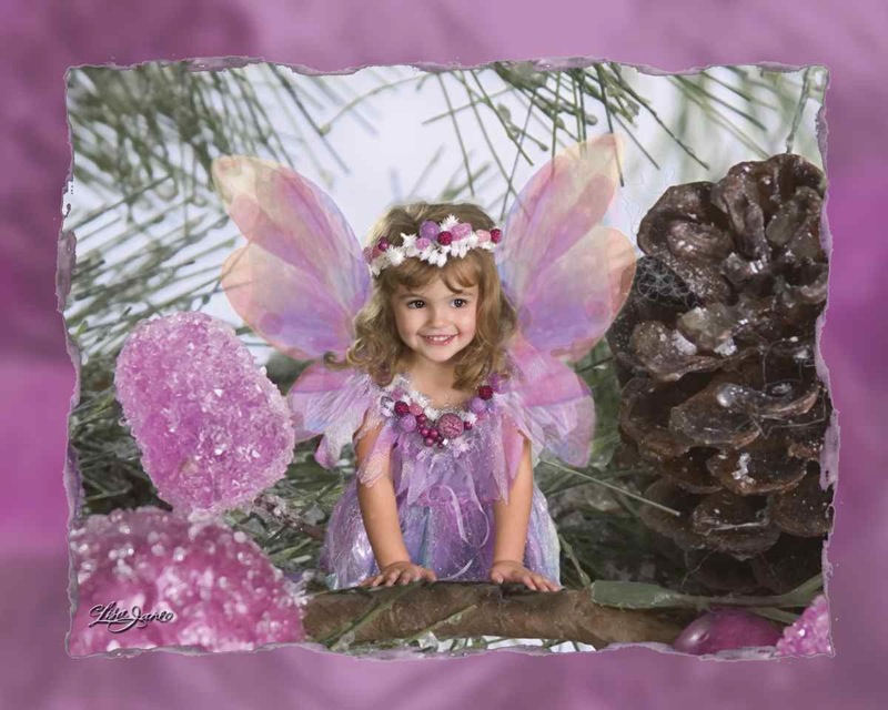 Sugar Plum Fairy – crop