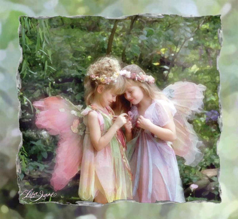 Fairy Friends