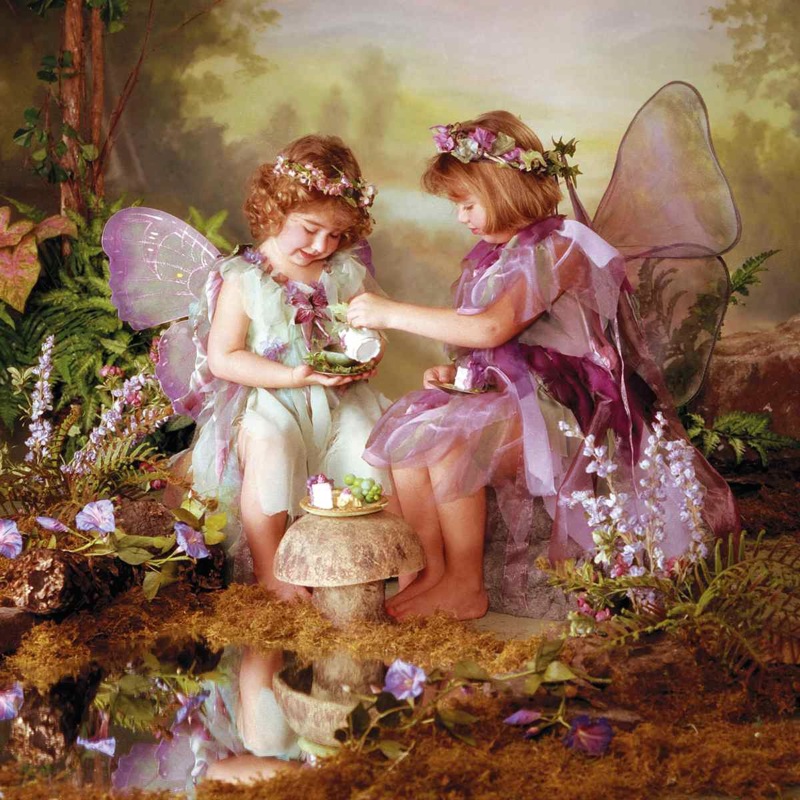 Fairy Tea Party