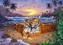 Beach Tigers