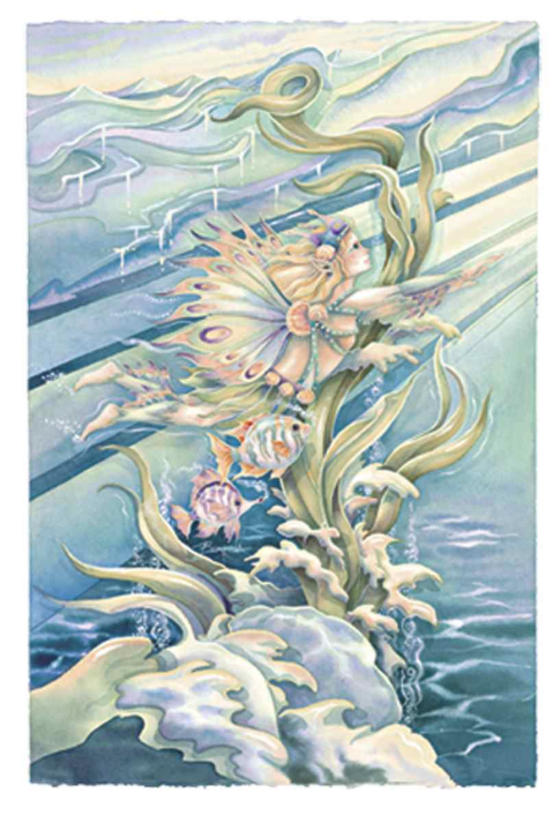 Follow a Dream (663)